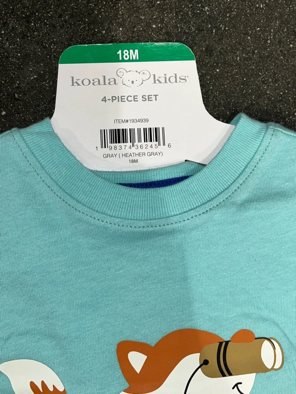 Carter's Gray Fox Two-Piece Set with Aqua Layer